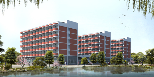 ������ѧʳ������