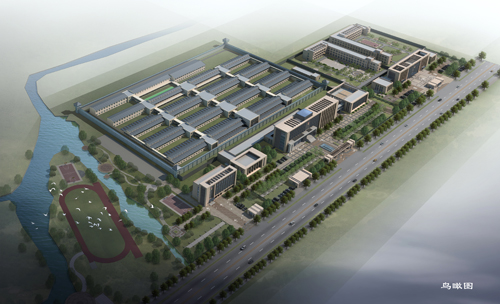 �����ֿ���������Ǩ������