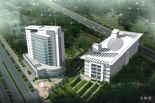 �̲ݲִ���������